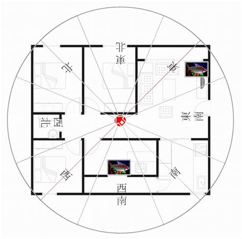 坐西南朝東北好嗎|【風水學必備】坐東北朝西南是什麼宅？教你用風水原則打造住宅。